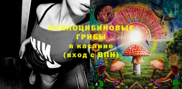 МДПВ Армянск